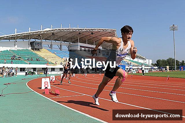认识leyu